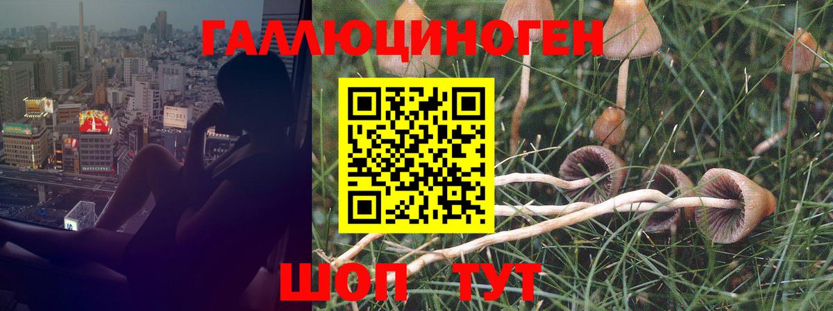 Валуйки  где найти наркотики  Вход с VPN  Галлюциногенные грибы Psilocybe 