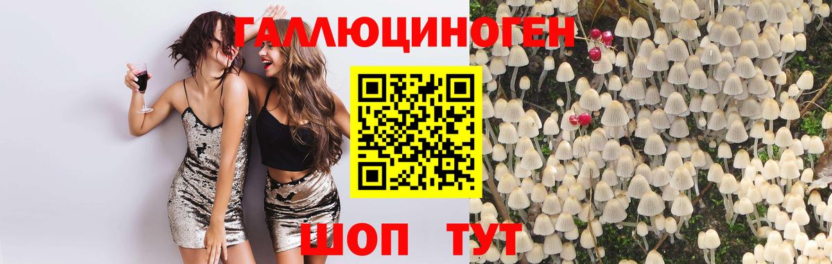 Псилоцибиновые грибы Psilocybine cubensis Валуйки